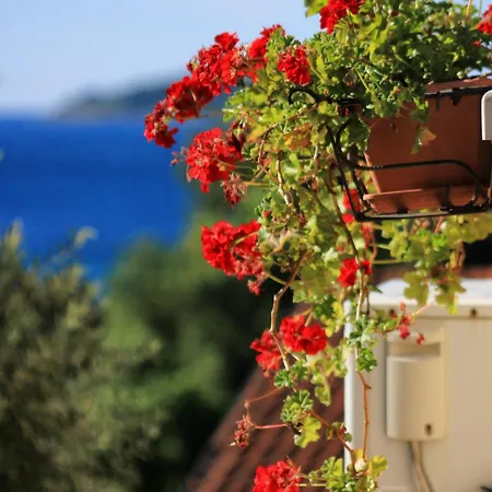 Διαμέρισμα 4565a *