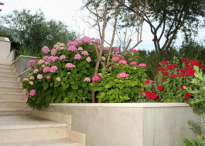 4565a * 奥瑞比克